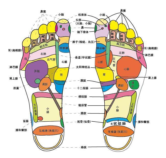 點擊將在新窗口查看全圖